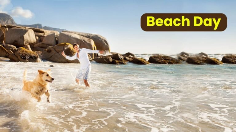 Beach Day Tips for Dogs and Their Owners