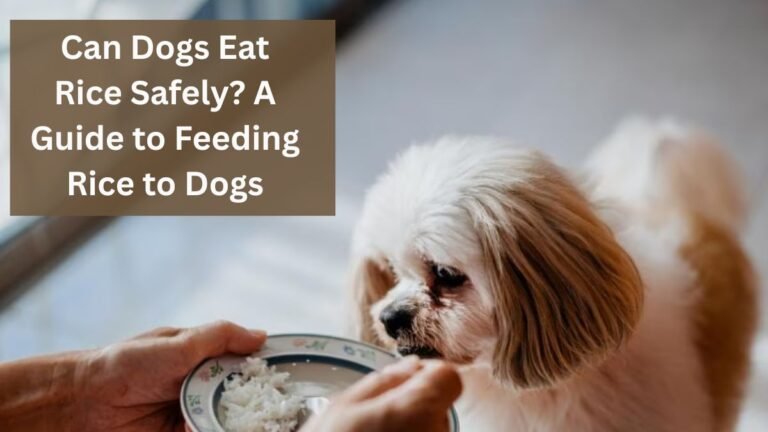 Can Dogs Eat Rice Safely? A Guide to Feeding Rice to Dogs
