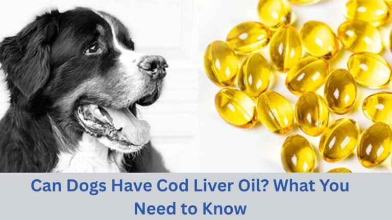 Can Dogs Have Cod Liver Oil? What You Need to Know