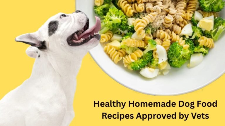 Healthy Homemade Dog Food Recipes Approved by Vets