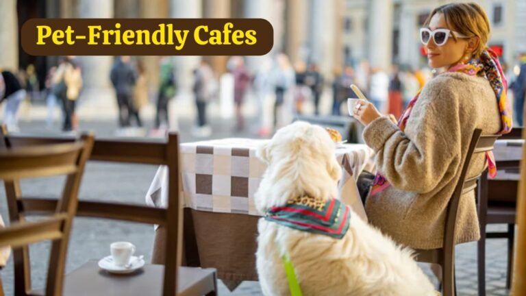 7 Must-Visit Pet-Friendly Cafes Throughout Australia