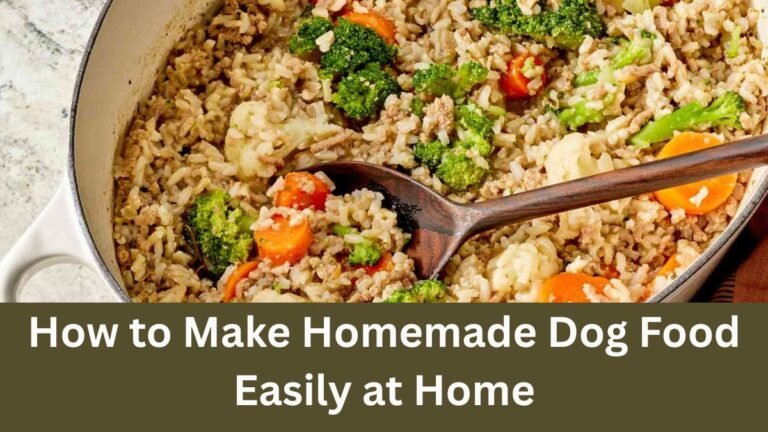 How to Make Homemade Dog Food Easily at Home